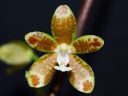 Dateiname=651_viridis.jpg
Dateigröße=104KB
Abmessungen: 800x600
hinzugefügt am: 24. Juni 2012 651_viridis.jpg